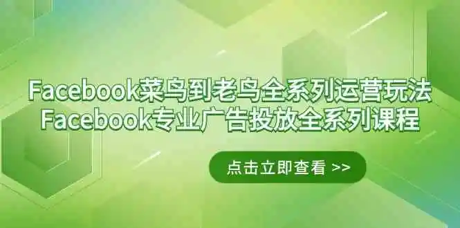 Facebook-菜鸟到老鸟全系列运营玩法+Facebook-专业广告投放全系列课程