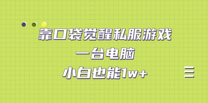 靠口袋觉醒私服游戏，一台电脑，小白也能1w+（教程+工具+资料）
