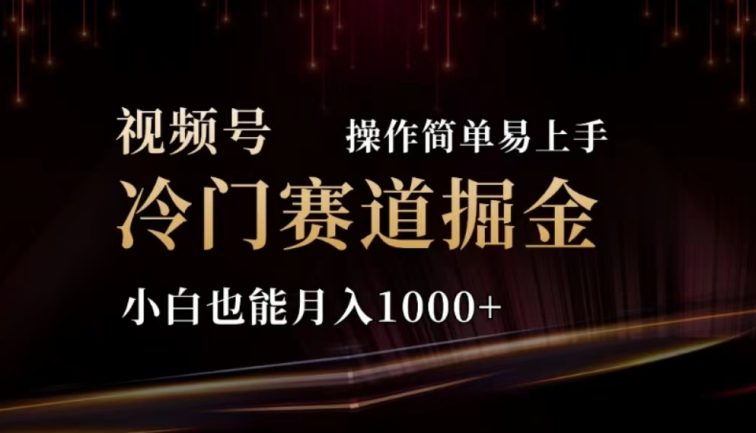 2024视频号冷门赛道掘金，操作简单轻松上手，小白也能月入1000+