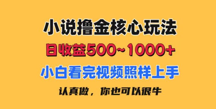 小说撸金核心玩法，日收益500-1000+，小白看完照样上手，0成本有手就行