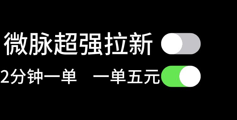 微脉超强拉新， 两分钟1单， 一单利润5块，适合小白