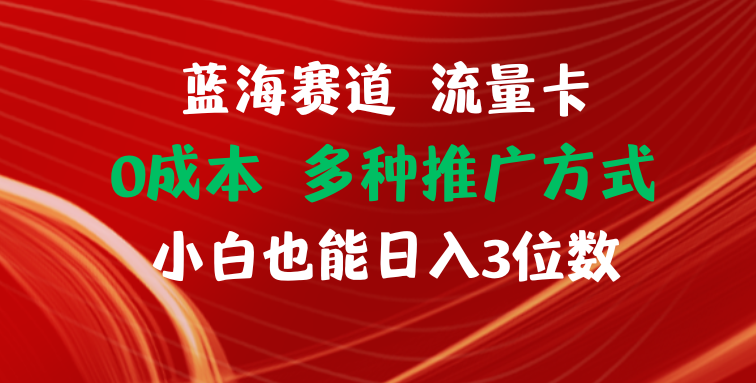 蓝海赛道 流量卡 0成本 小白也能日入三位数