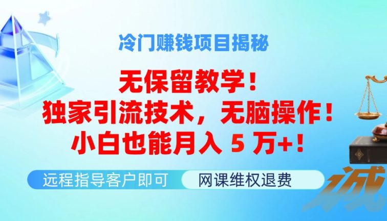 冷门赚钱项目无保留教学！独家引流技术，无脑操作！小白也能月入5万+！