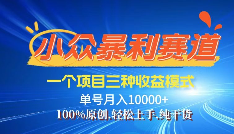 【老人言】-视频号爆火赛道，三种变现方式，0粉新号调调爆款