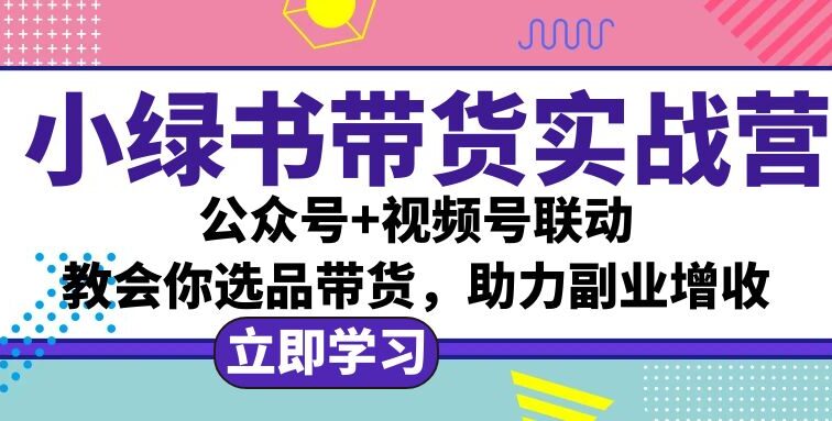 小绿书AI带货实战营：公众号+视频号联动，教会你选品带货，助力副业增收