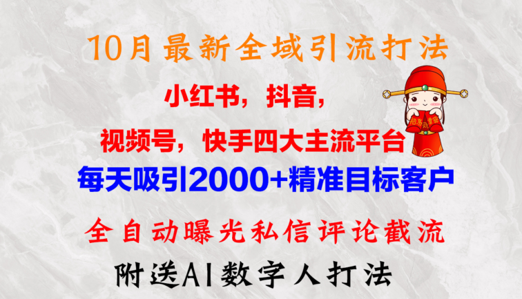 10月最新小红书，抖音，视频号，快手四大平台全域引流，，每天吸引2000…