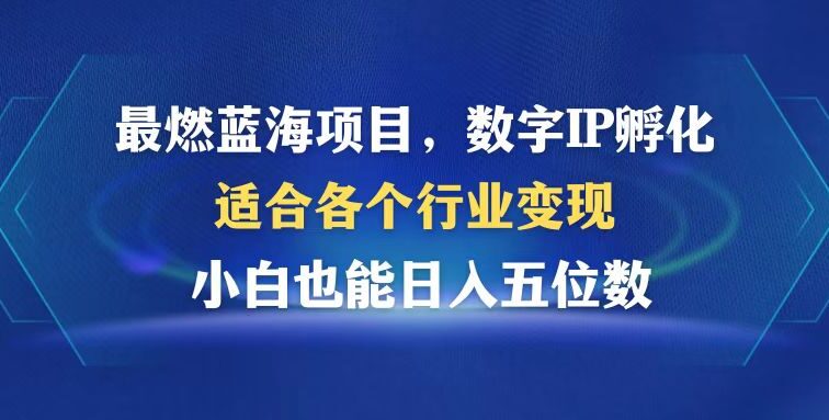 最燃蓝海项目  数字IP孵化  适合各个行业变现  小白也能日入5位数