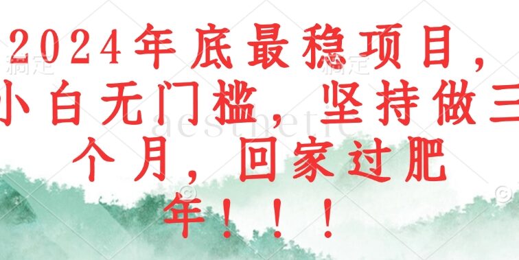 2024年底最稳项目，小白无门槛，坚持做三个月，回家过肥年！！！