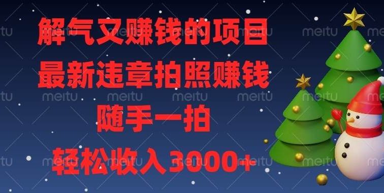 解气又赚钱的项目，最新违章拍照赚钱，随手一拍，轻松收入3000+