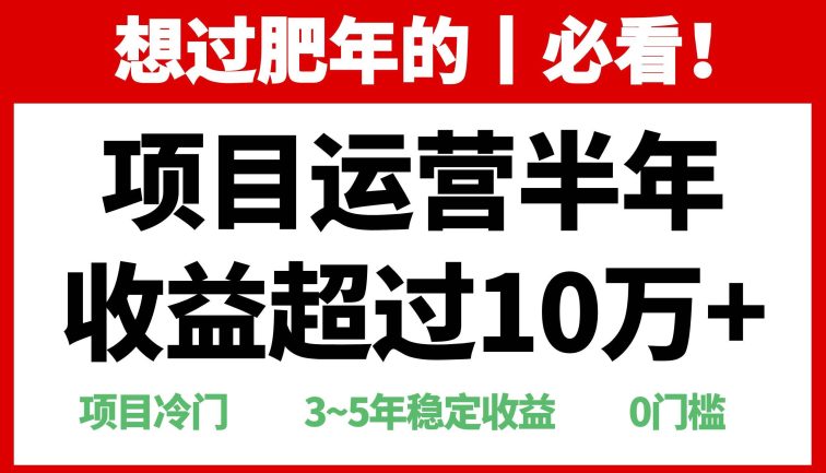 年前过肥年的必看的超冷门项目，半年收益超过10万+，