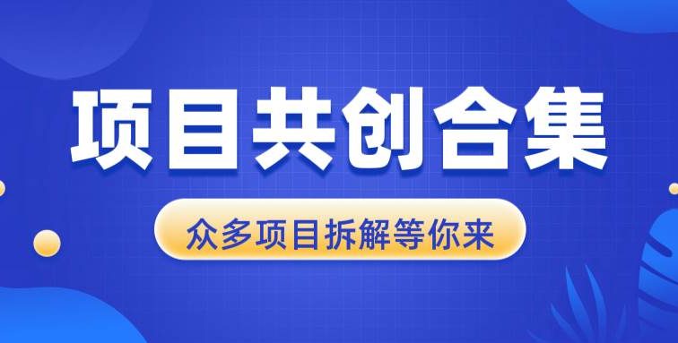 项目共创合集，从0-1全过程拆解，让你迅速找到适合自已的项目