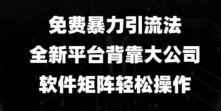 免费暴力引流法，全新平台，背靠大公司，软件矩阵轻松操作