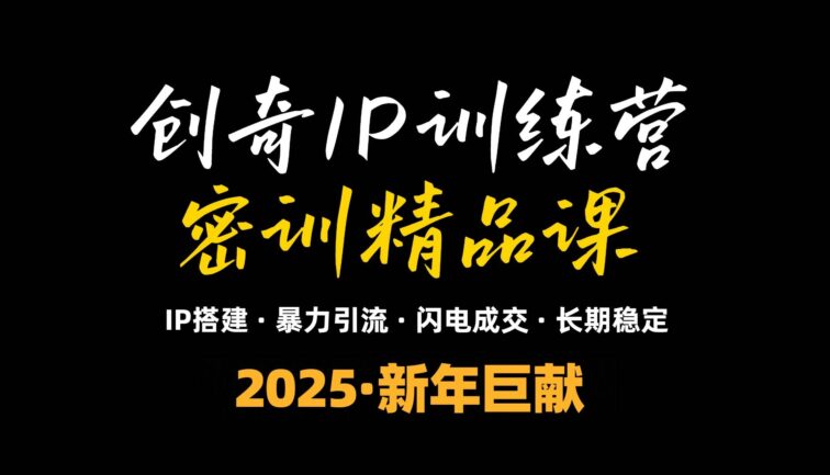 2025年“知识付费IP训练营”小白避坑年赚百万，暴力引流，闪电成交