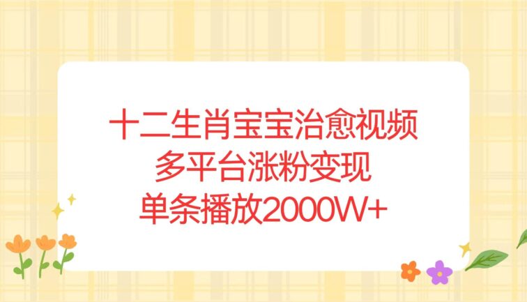 十二生肖宝宝治愈视频，多平台涨粉变现，单条播放2000W+