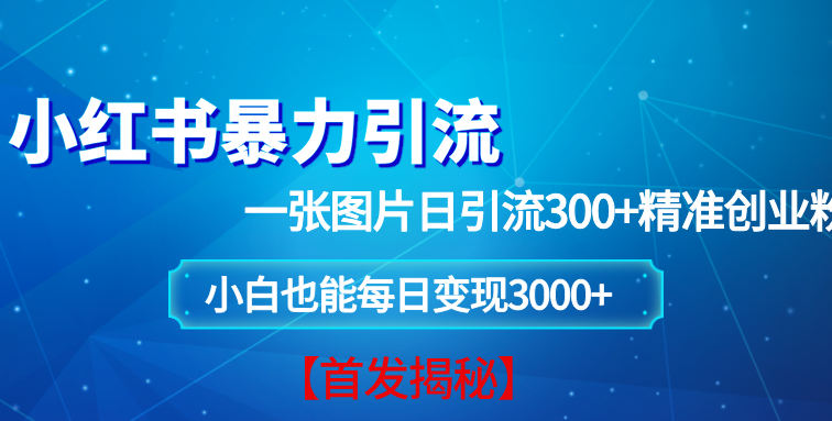 小红书暴力引流法，一张图片日引 300+精准创业粉，每日稳定变现 3000+【揭秘】