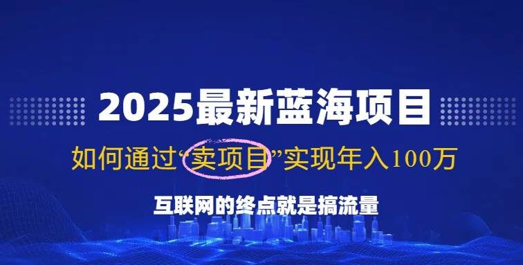 2025最新蓝海项目，零门槛轻松复制，月入10万+，新手也能操作！