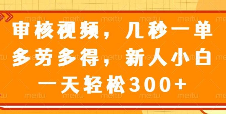 审核视频，几秒一单，多劳多得，新人小白一天轻松300+