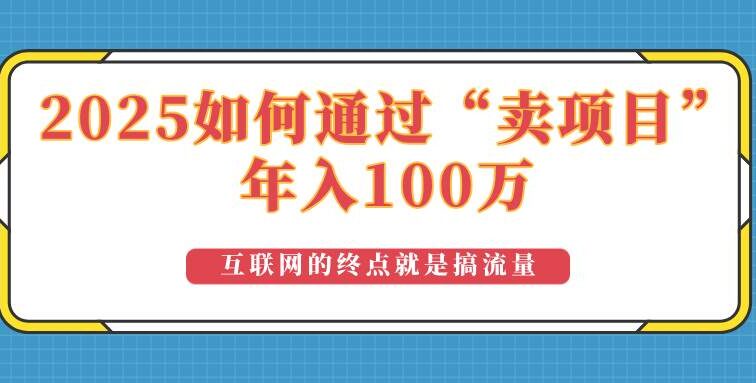 2025年如何通过“卖项目”实现100万收益：最具潜力的盈利模式解析