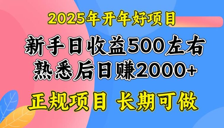 2025开年好项目，单号日收益2000左右