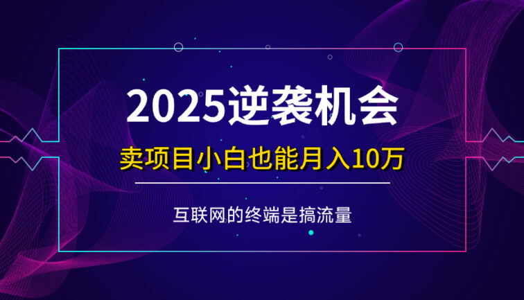 项目标题：2025逆袭机会，卖项目小白也能轻松月入10万+