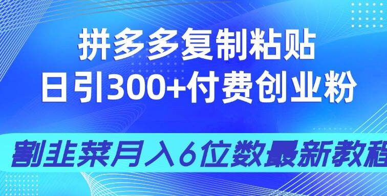 拼多多复制粘贴日引300+付费创业粉，割韭菜月入6位数最新教程！