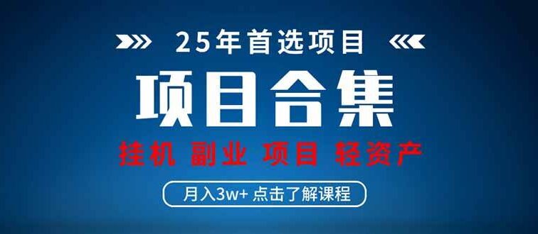 2025 实操项目合集 挂机类型 直播类型 轻资产创业类型 课程分享各项目…