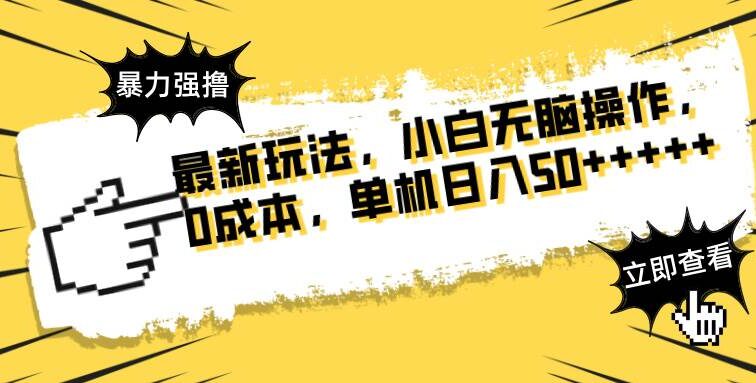 最新玩法 广告暴力强撸 傻瓜式操作 无需养鸡 矩阵式操作 可无限放大 单…