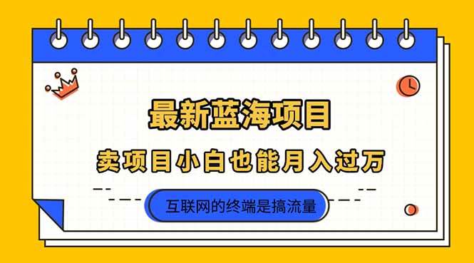 2025年最新蓝海项目,卖项目小白也能月入过万