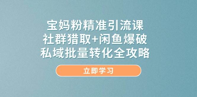 宝妈粉精准引流课，社群猎取+闲鱼爆破，私域批量转化全攻略