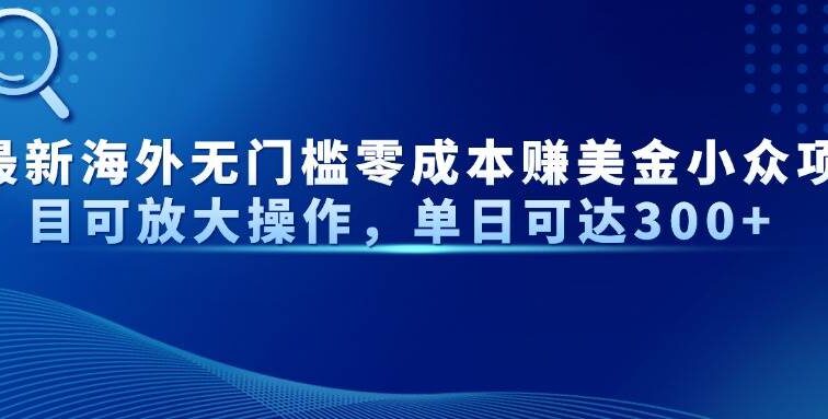 最新海外无门槛零成本赚美金小众项目可放大操作，单日可达300+