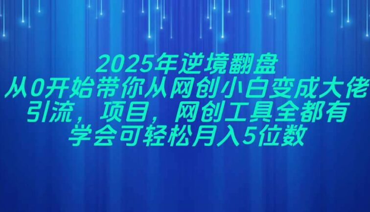 2025年逆境翻盘，从0开始带你从网创小白变成大佬，引流，项目，网创工…
