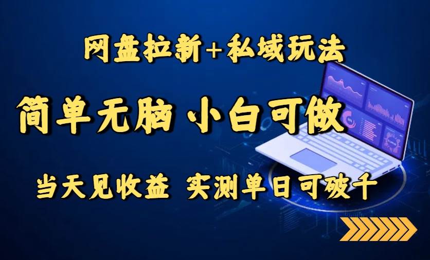 网盘拉新+私域玩法，简单无脑，小白可做，当天见收益，实测单日可破千